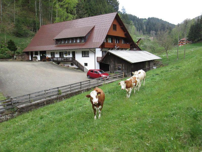 Hinterkimmighof Apartment Oberharmersbach Exterior photo